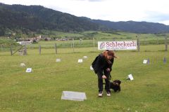 Fotos von der Hundeschule am 02.05.2024