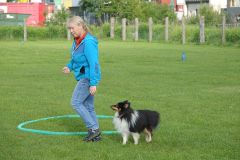 Hundeschule am 01.06.2024