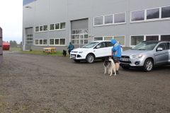 Hundeschule am 03.05.2024