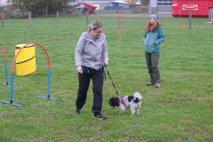 Hundeschule am 19.10.2024