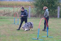 Hundeschule am 21.09.2024